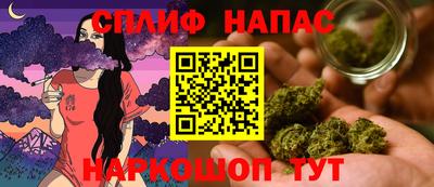 гидра Рыбинск