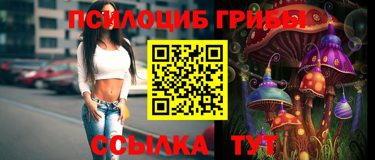 Соликамск  Галлюциногенные грибы прущие грибы  Вход с VPN 