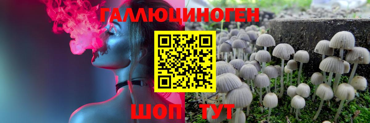 Галлюциногенные грибы мухоморы Соликамск